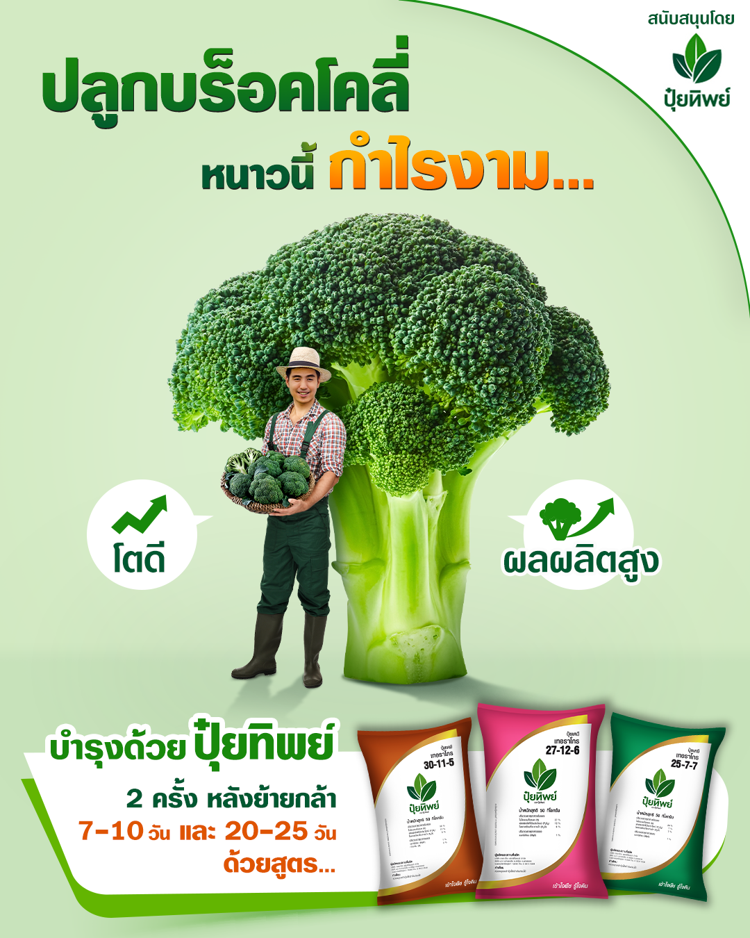 201119_11NOV_Puitip_JPG04-Broccoli_4-5
