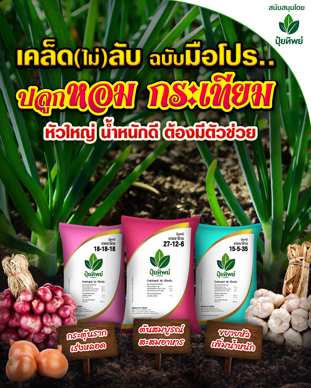 201119_11NOV_Puitip_JPG05-OnionGarlic_4-5