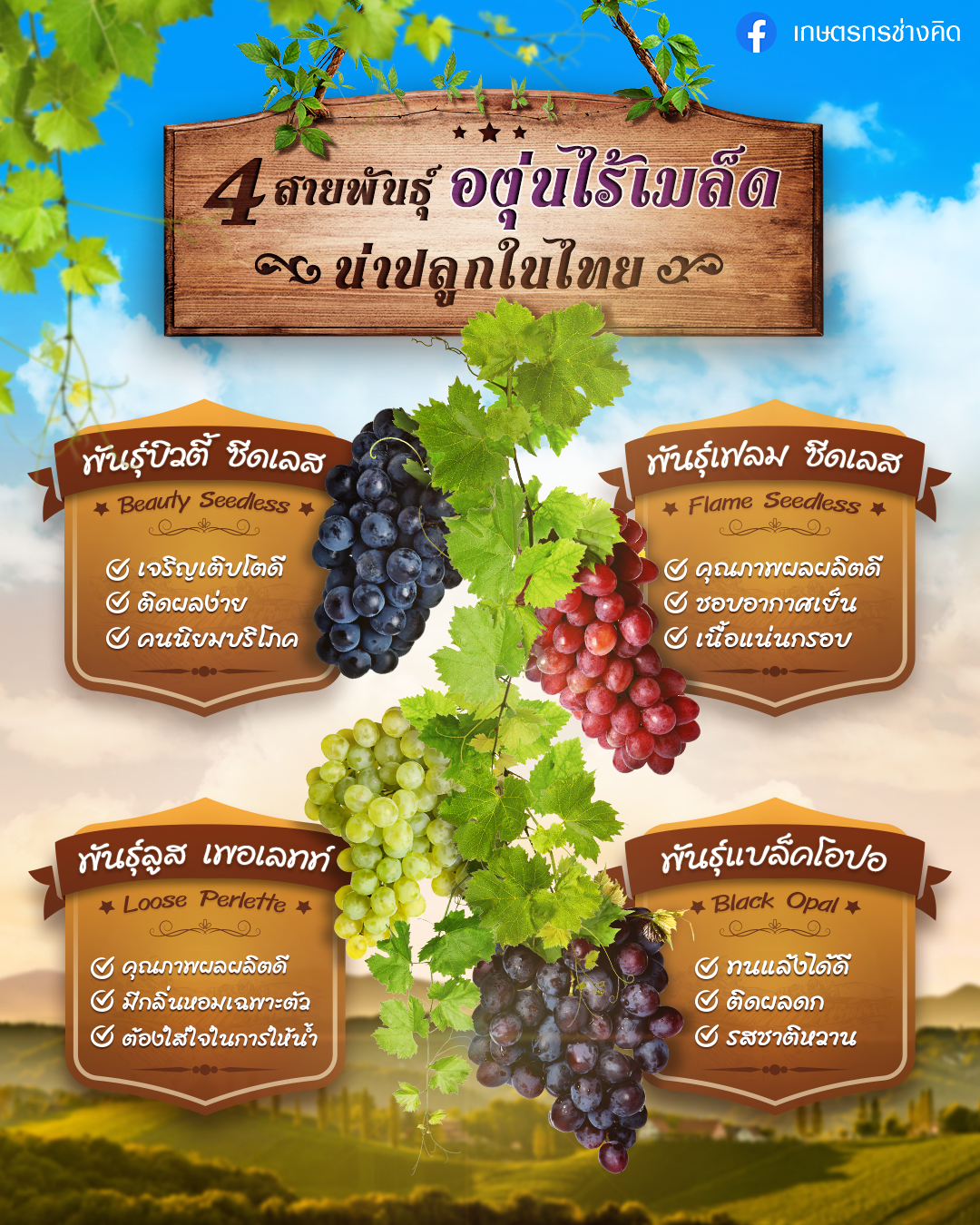210208_02FEB_Puitip_JPG10-Grape_4-5